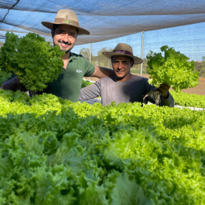 Produtor de hortaliças hidropônicas que tinha desistido do cultivo