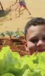 Crianças