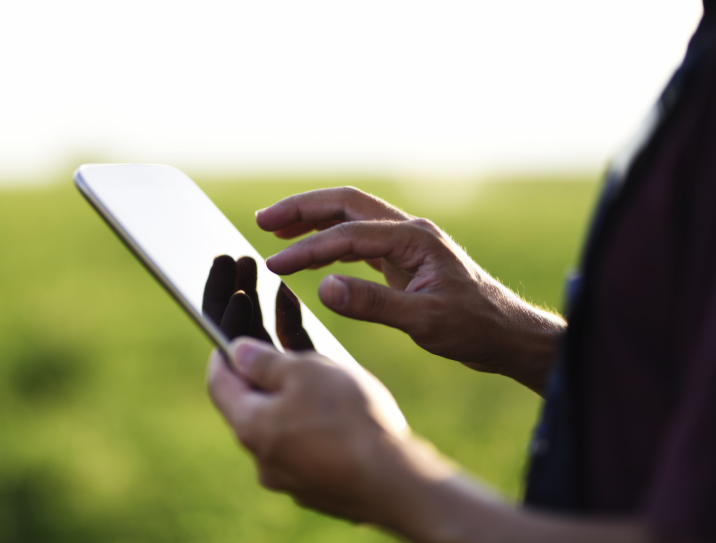 Homem segurando tablet em meio a folhagem