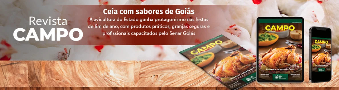 Site Faeg 1118x300px OUT 2025