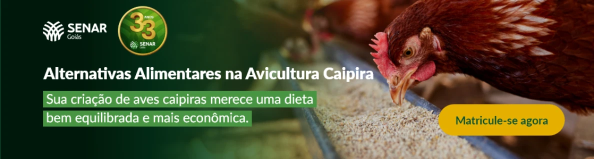 20260609 senar goias banners avicultura caipira lancamento 1118x300 2