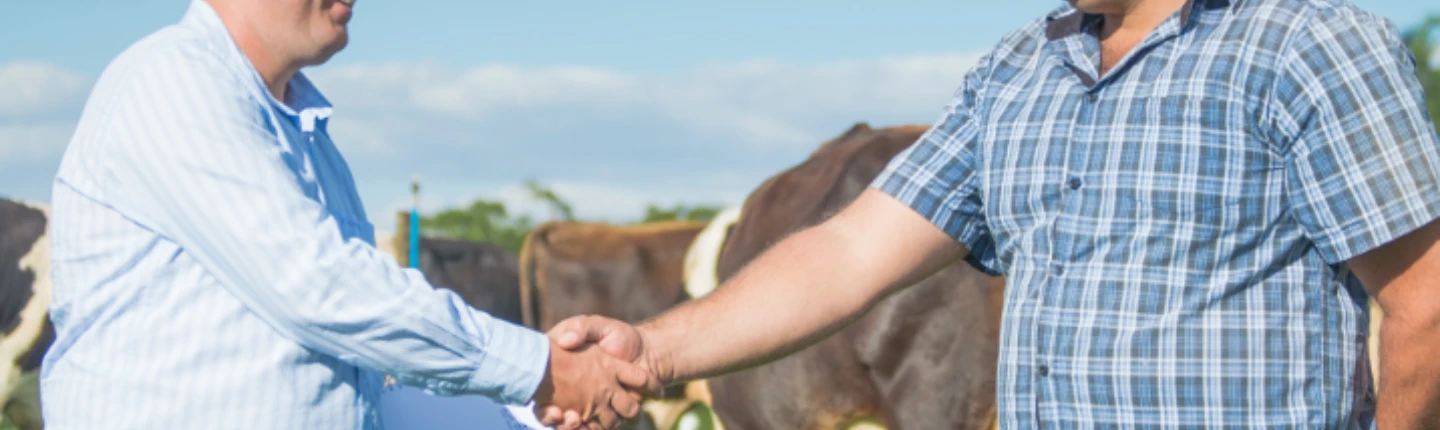 Programas e Serviços
