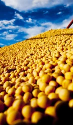 Agro