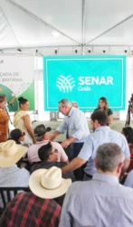 Senar