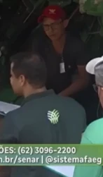Mais