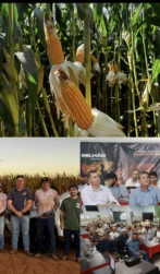 Expedição