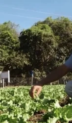 Produtor
