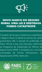 Novo