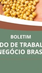 Empregos