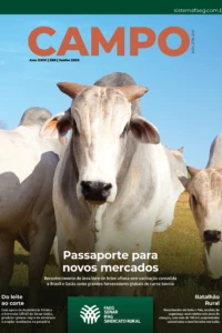 Revista Campo - Junho | 2025