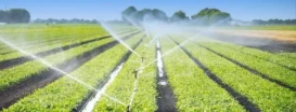 Debates sobre irrigação e a sustentabilidade da cadeia leiteira movimentaram a semana no Sistema Fae