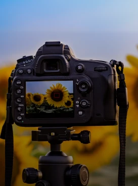 mão masculina aperta botão de câmera de fotografia profissional