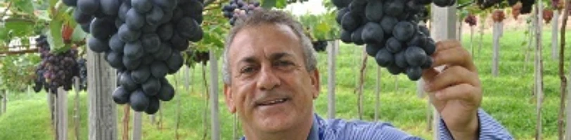 Imagem Estudo Customizados